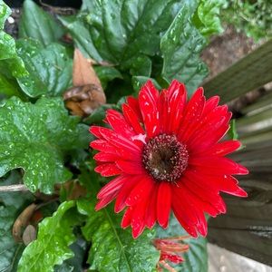 Meet your Posher, Valencia